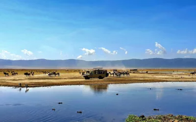 TANZANIA: THE SAFARI YOU’VE ALWAYS IMAGINED