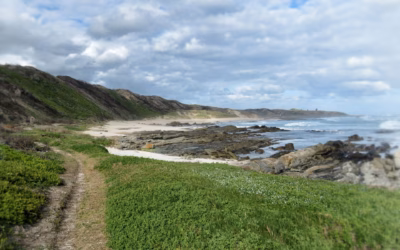 Africa’s Great Coastal Biospheres – Wilderness, Waves & Bespoke Luxury
