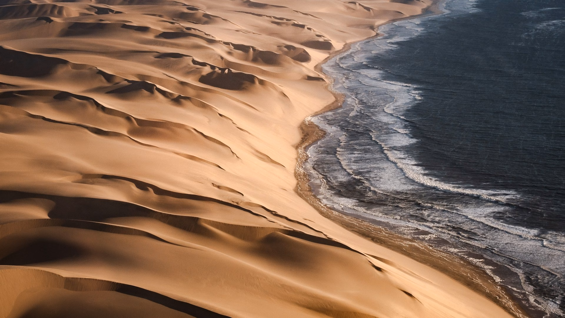 skeleton coast